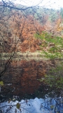 Umgebung_Bild 1