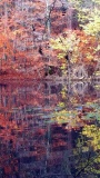 Umgebung_Bild 8