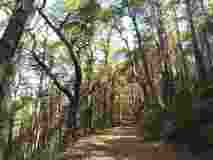 Umgebung_Bild 5