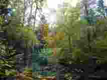 DSC01771