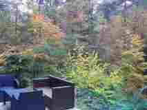 IMG_20191110_151607