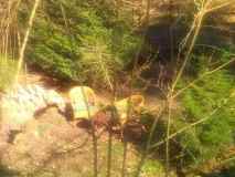 IMG_20200327_144457