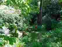IMG_20200518_112108