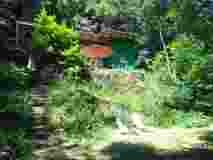 IMG_20200709_132904