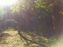 IMG_20200722_162635