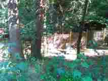 IMG_20200722_164010