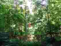 IMG_20200729_113403