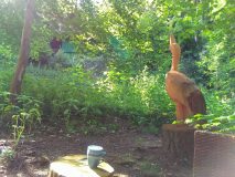 IMG_20210710_163216-scaled